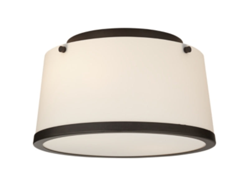 CIS-355 - Ceiling Light @ Entry