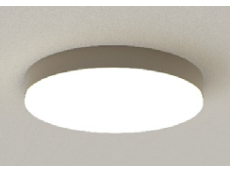 EXG2-405 - Ceiling Mounted Light Fixture