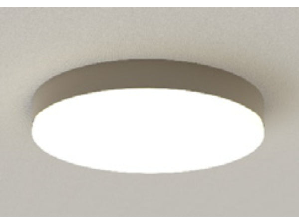 EXG2-405 - Ceiling Mounted Light Fixture