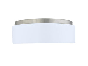 GR-250 - Entry Ceiling Fixture - Scenic