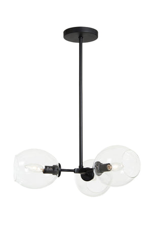 Nexpo - 3 Light Semi Flush - P1363-66A