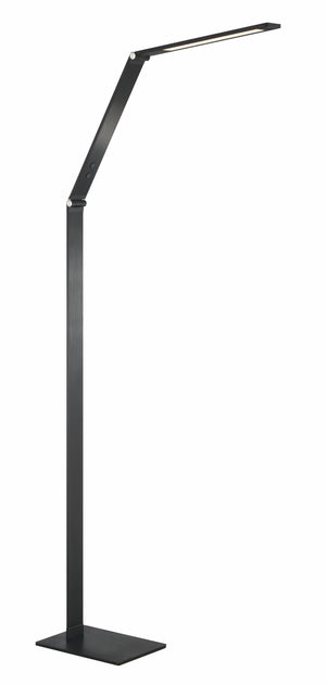 LED Floor Lamp - P082-66F-L