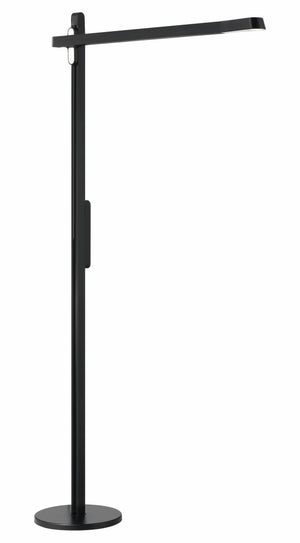 Portables - LED Floor Lamp - P1660-66F-L