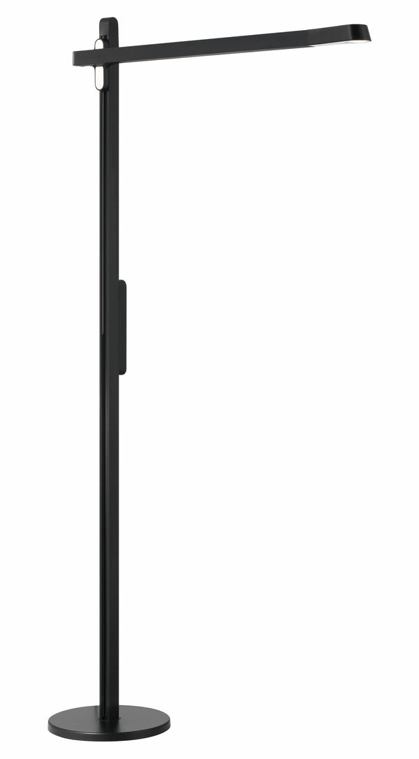 Portables - LED Floor Lamp - P1660-66F-L