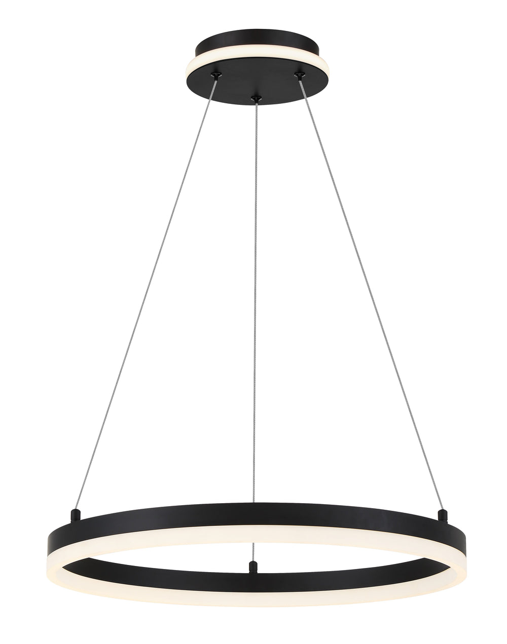 Recovery - LED Pendant Fixture - P1910-66A-L