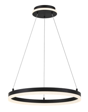 Recovery - LED Pendant Fixture - P1910-66A-L