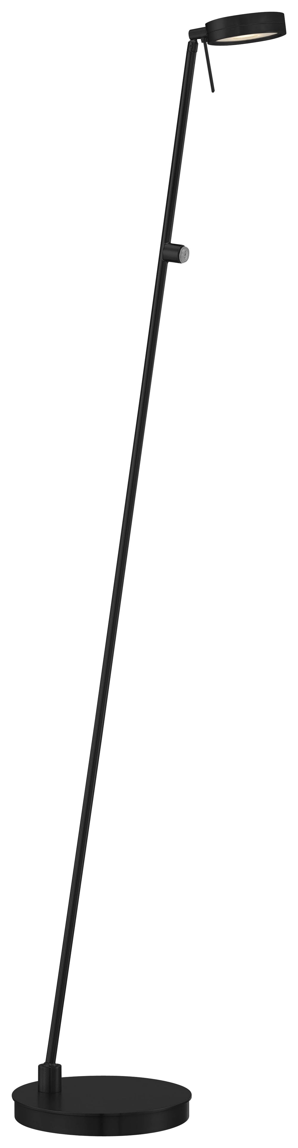 Task Portable - 1 Light LED Pharmacy Floor Lamp - P4304-66A