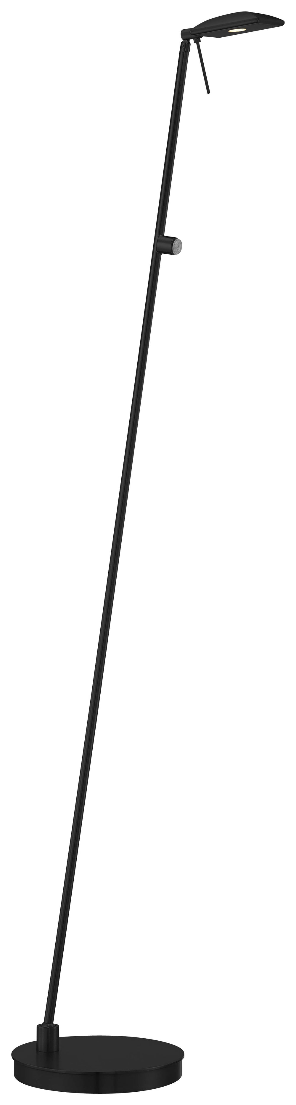 Task Portable - 1 Light LED Pharmacy Floor Lamp - P4324-66A