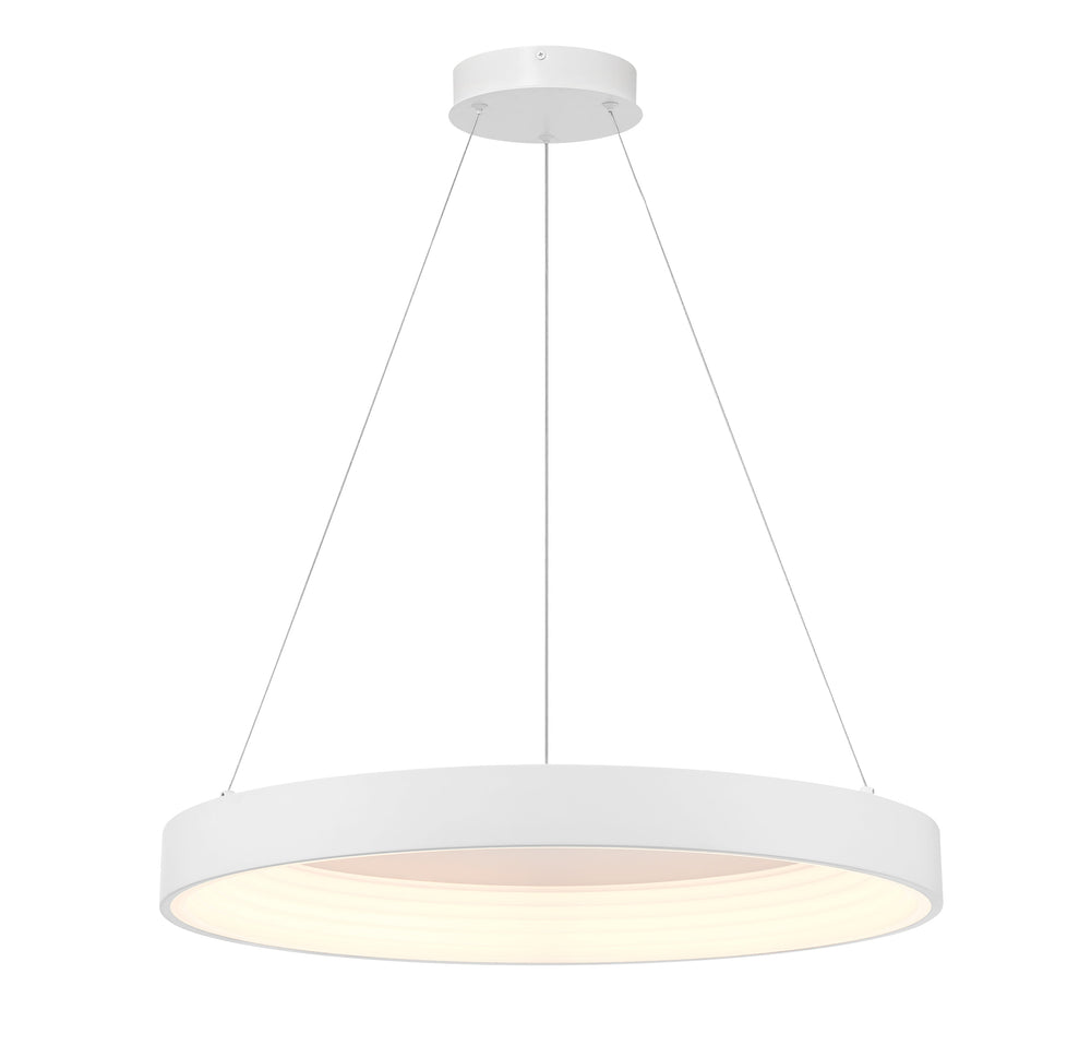 Conc - LED 24" Pendant - P5555-44B-L