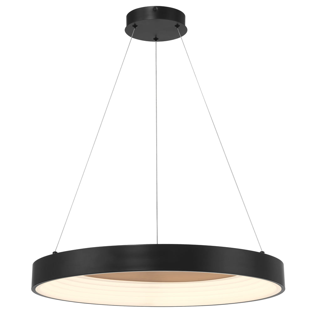 Conc - 24" LED Pendant - P5555-66A-L