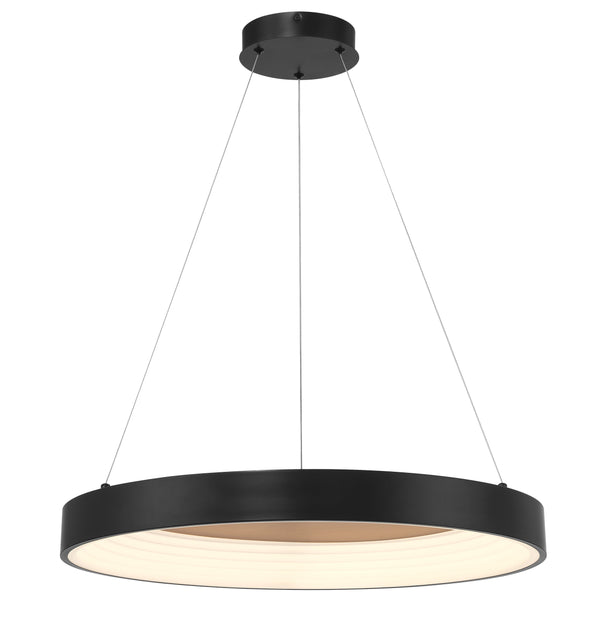 Conc - 24" LED Pendant - P5555-66A-L